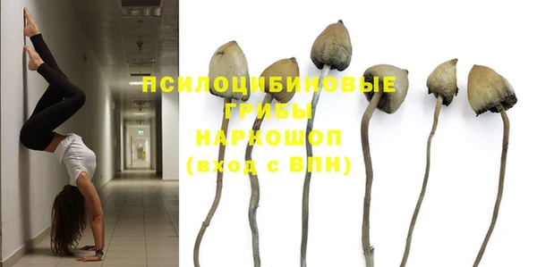 спайс Тында
