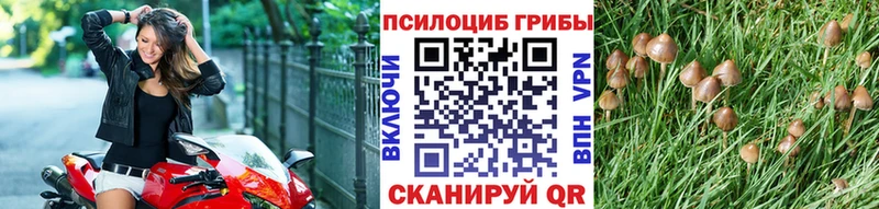 Псилоцибиновые грибы ЛСД  Яранск 